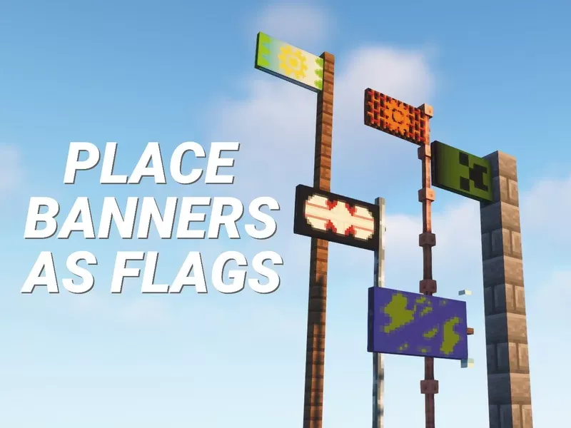 Image Showing Banners as Flags