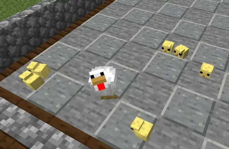 Image Showing Chicks From Gen&#x27;s better Babies