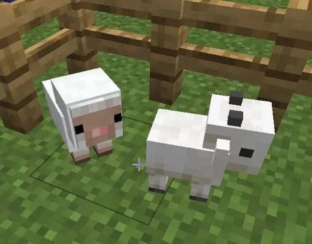 Lamb Baby in Minecraft.